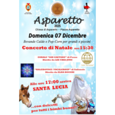 Santa Lucia 2025 Santa Lucia 2025